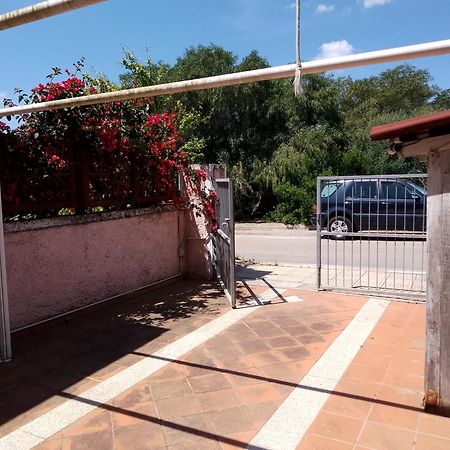 Villa Sa Minda Noa 2 Camere 2 Bagni Aria Condizionata E Giardino Olbia Extérieur photo